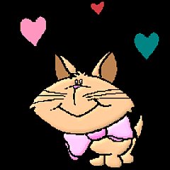 cica_animated cat MMS love